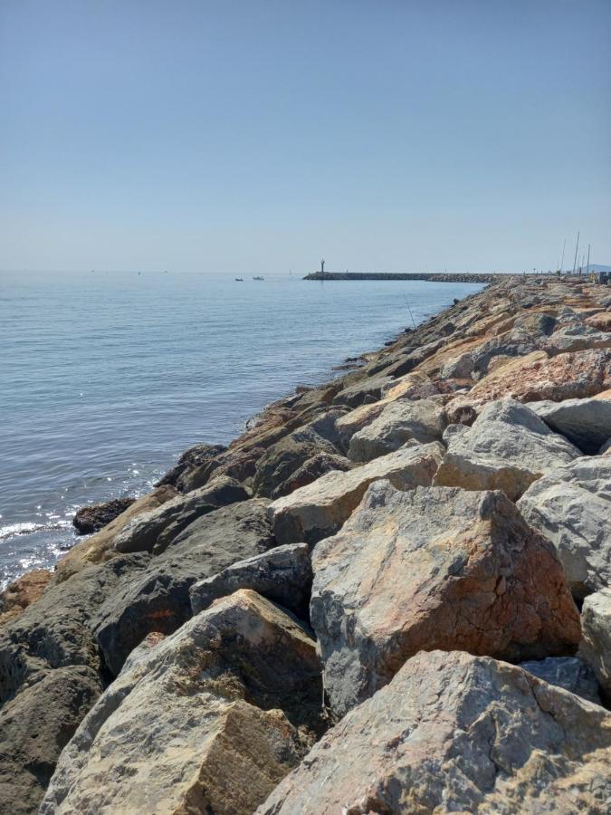 Appartement Saint Cyprien Plage Residence Les Mas De La Mer Exteriör bild