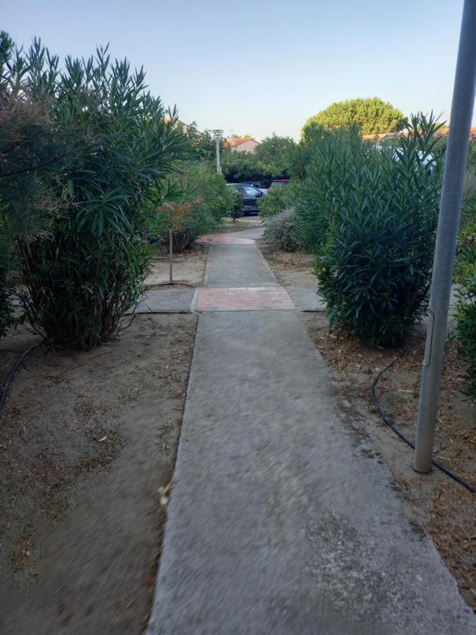 Appartement Saint Cyprien Plage Residence Les Mas De La Mer Exteriör bild