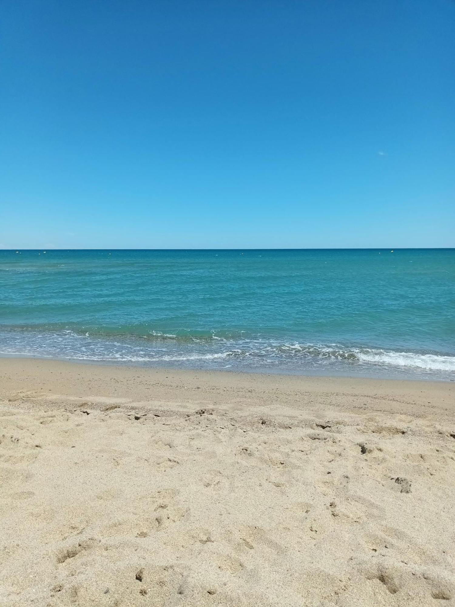Appartement Saint Cyprien Plage Residence Les Mas De La Mer Exteriör bild